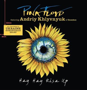 Hey Hey Rise Up (feat. Andriy Khlyvnyuk of Boombox) (cover amazon vinyl)